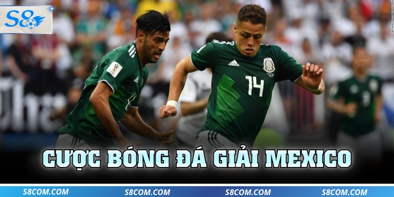 Cược bóng đá giải Mexico