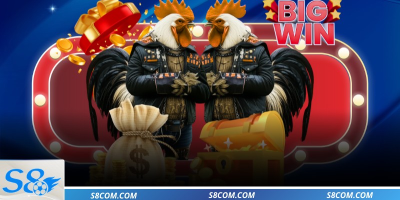 Khám phá sơ lược về chuyên mục đá gà S8 