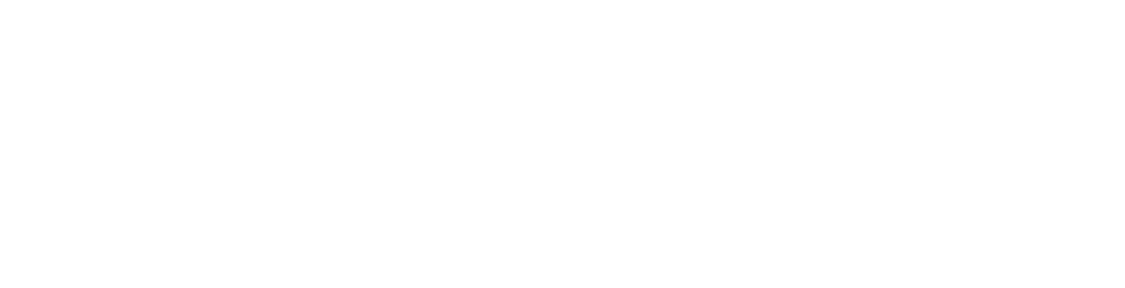 logo s8