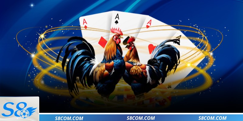 Trải nghiệm linh hoạt các hình thức đá gà 