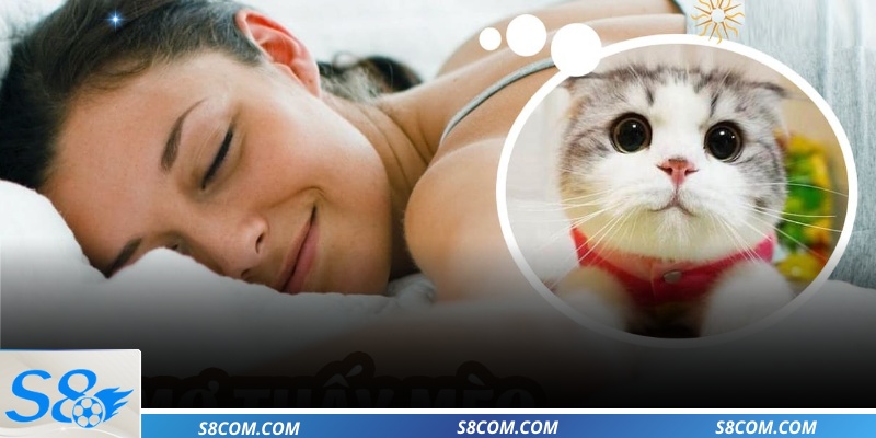 Ý nghĩa thấy mèo đánh con gì